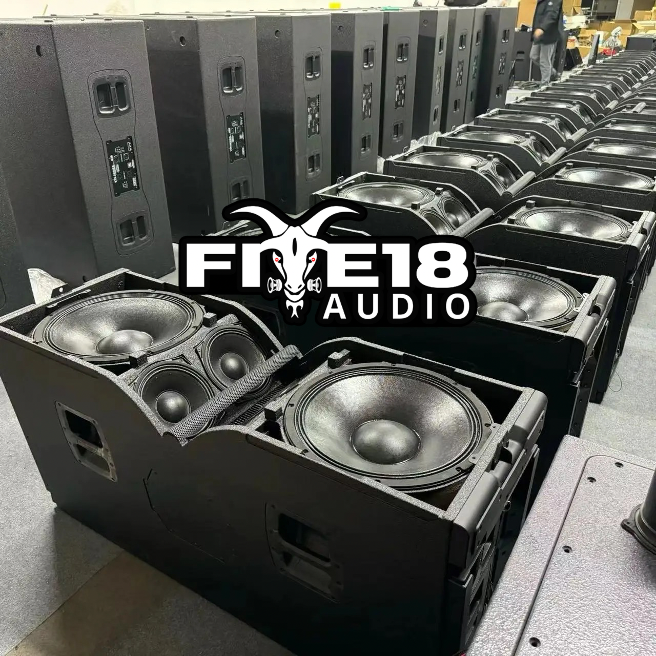 15 Inch Dual Line Array