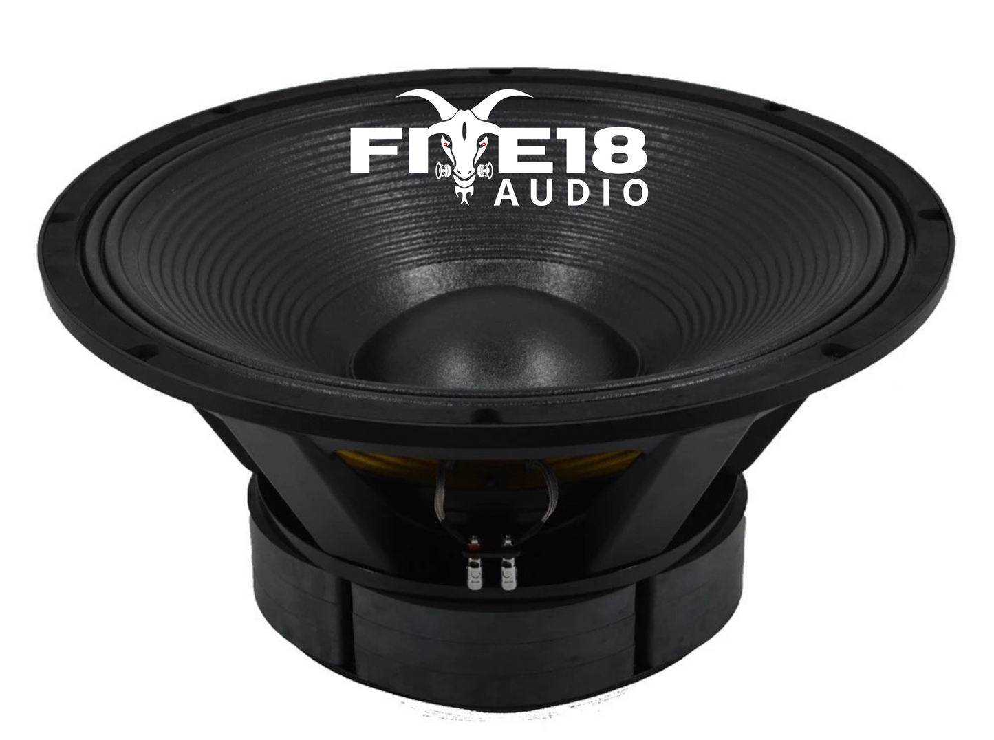 Five18 Audio 24” Bass Speaker1
